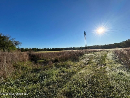266± Acres Hinds/Copiah Line with Creek & Income
