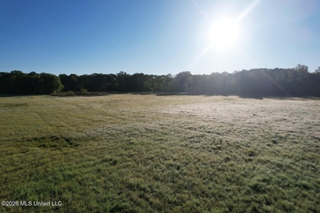 277± Acres Hinds/Copiah Line with Creek & Income - image 19