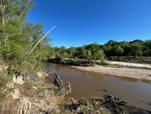 266± Acres Hinds/Copiah Line with Creek & Income