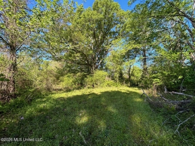 277± Acres Hinds/Copiah Line with Creek & Income - image 38