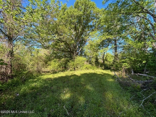 266± Acres Hinds/Copiah Line with Creek & Income