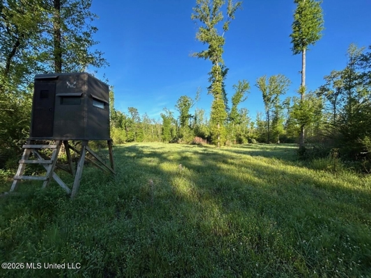 266± Acres Hinds/Copiah Line with Creek & Income