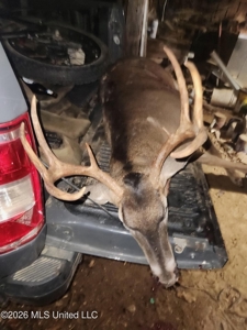 277± Acres Hinds/Copiah Line with Creek & Income - image 40