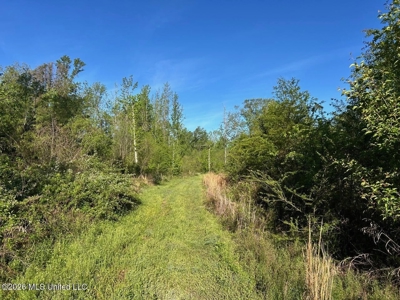 277± Acres Hinds/Copiah Line with Creek & Income - image 31