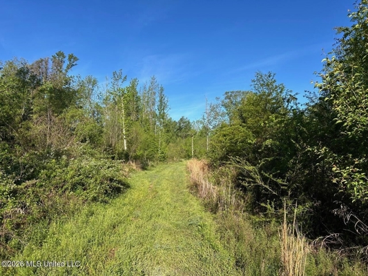 266± Acres Hinds/Copiah Line with Creek & Income