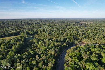 277± Acres Hinds/Copiah Line with Creek & Income - image 5