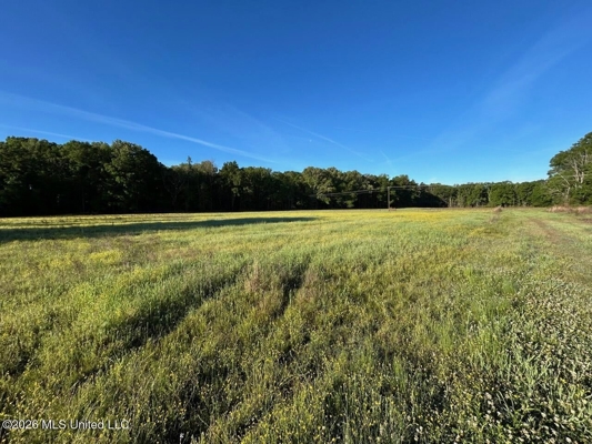 266± Acres Hinds/Copiah Line with Creek & Income