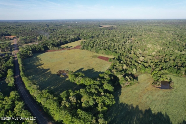 266± Acres Hinds/Copiah Line with Creek & Income