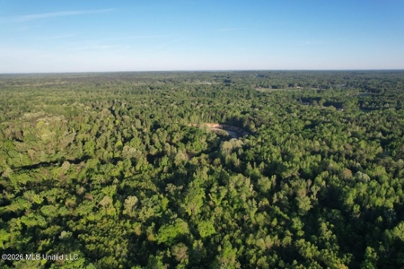 277± Acres Hinds/Copiah Line with Creek & Income - image 7