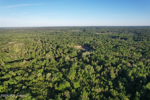 266± Acres Hinds/Copiah Line with Creek & Income