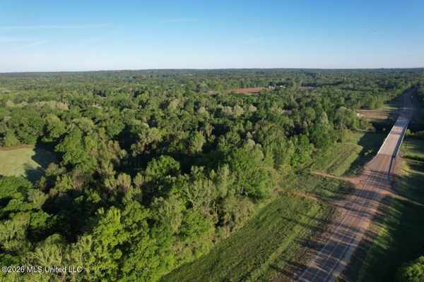 266± Acres Hinds/Copiah Line with Creek & Income
