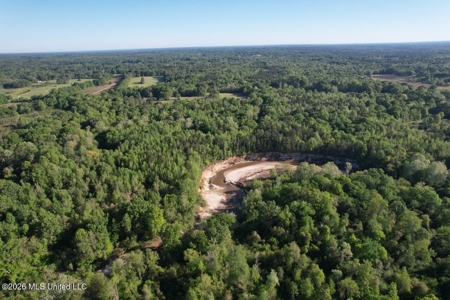277± Acres Hinds/Copiah Line with Creek & Income - image 36