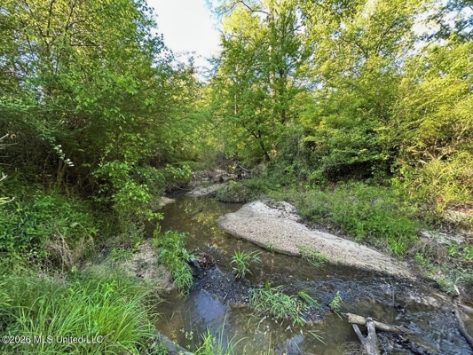 266± Acres Hinds/Copiah Line with Creek & Income