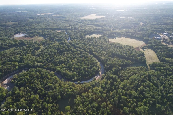 266± Acres Hinds/Copiah Line with Creek & Income