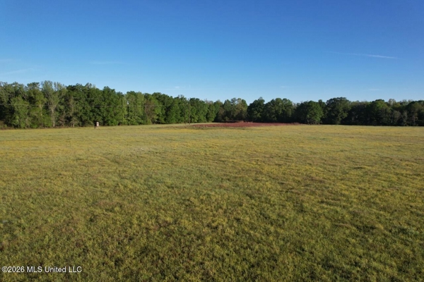 266± Acres Hinds/Copiah Line with Creek & Income