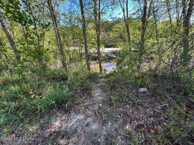 277± Acres Hinds/Copiah Line with Creek & Income - image 34
