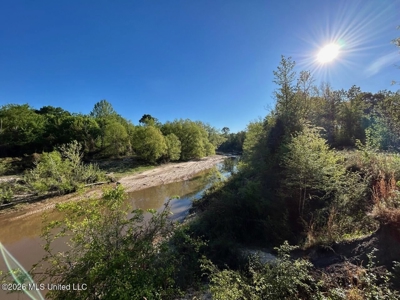 277± Acres Hinds/Copiah Line with Creek & Income - image 30