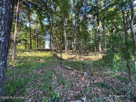 266± Acres Hinds/Copiah Line with Creek & Income