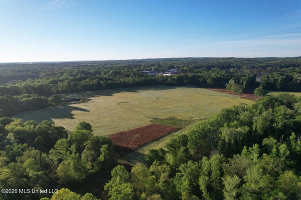 266± Acres Hinds/Copiah Line with Creek & Income