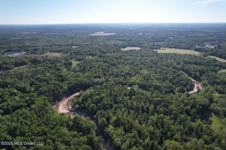 277± Acres Hinds/Copiah Line with Creek & Income - image 37