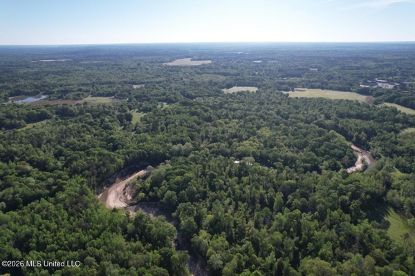 266± Acres Hinds/Copiah Line with Creek & Income