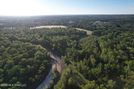 277± Acres Hinds/Copiah Line with Creek & Income - image 10