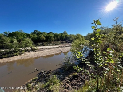 277± Acres Hinds/Copiah Line with Creek & Income - image 32