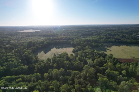 277± Acres Hinds/Copiah Line with Creek & Income - image 3