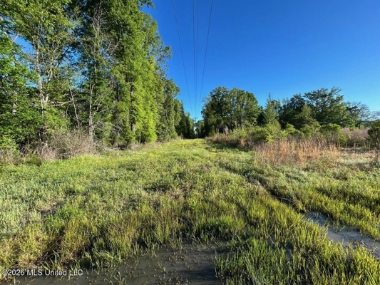 266± Acres Hinds/Copiah Line with Creek & Income