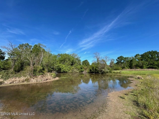 266± Acres Hinds/Copiah Line with Creek & Income