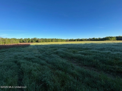 277± Acres Hinds/Copiah Line with Creek & Income - image 18