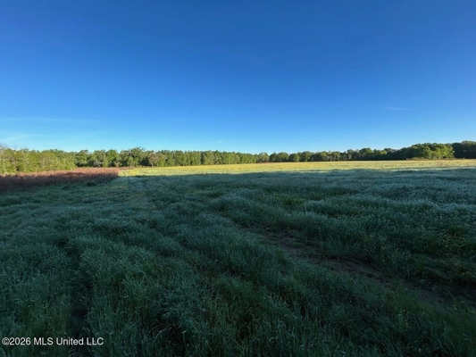 266± Acres Hinds/Copiah Line with Creek & Income