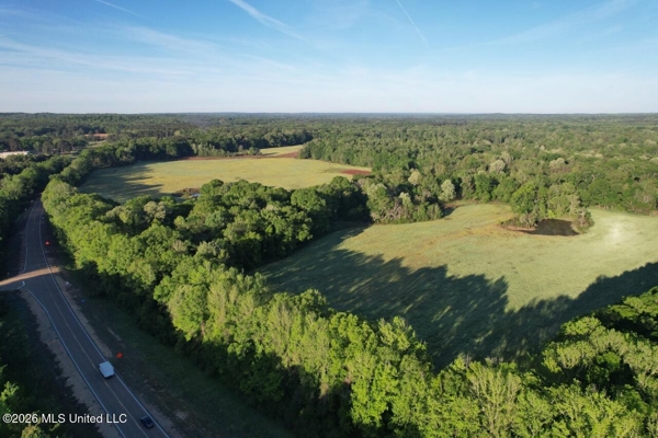 266± Acres Hinds/Copiah Line with Creek & Income