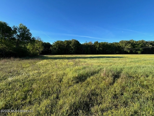 266± Acres Hinds/Copiah Line with Creek & Income