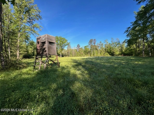 266± Acres Hinds/Copiah Line with Creek & Income