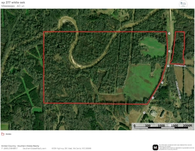 277± Acres Hinds/Copiah Line with Creek & Income - image 43