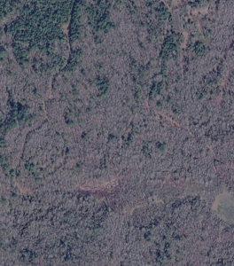 40-Acre Hunting Land for Sale in Kiblah, Arkansas - image 1