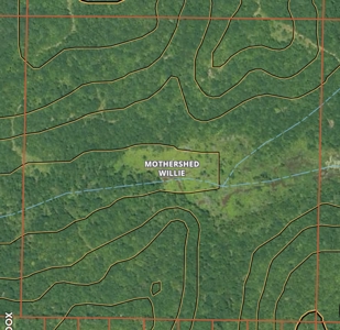 40-Acre Hunting Land for Sale in Kiblah, Arkansas - image 2