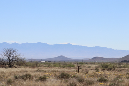 Opportunity awaits this scenic land lot. - image 4