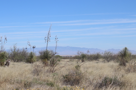Opportunity awaits this scenic land lot. - image 1