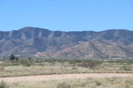 Opportunity awaits this scenic land lot. - image 8