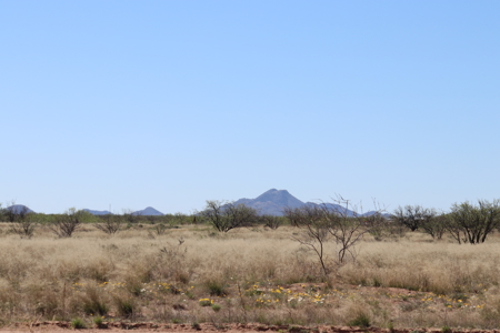 Opportunity awaits this scenic land lot. - image 6