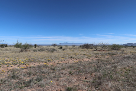 Opportunity awaits this scenic land lot. - image 12
