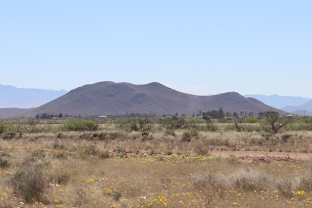 Opportunity awaits this scenic land lot. - image 5