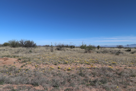 Opportunity awaits this scenic land lot. - image 11