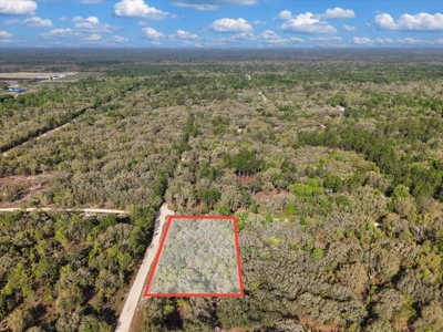 1.25 Acre Corner Lot In Levy County Near Gainesville, Fl - image 4