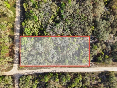 1.25 Acre Corner Lot In Levy County Near Gainesville, Fl - image 3