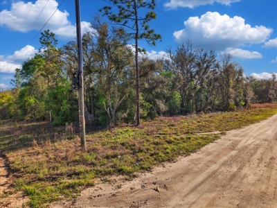 1.25 Acre Corner Lot In Levy County Near Gainesville, Fl - image 9
