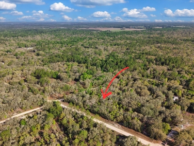 1.25 Acre Corner Lot In Levy County Near Gainesville, Fl - image 11