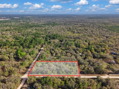 1.25 Acre Corner Lot In Levy County Near Gainesville, Fl - image 5